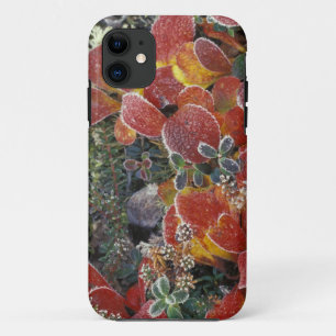 NA, USA, Alaska. Denali National Park. Bearberry 2 Case-Mate iPhone Case