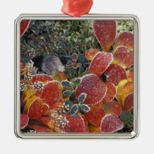 NA, USA, Alaska. Denali National Park. Bearberry 2 Metal Tree Decoration