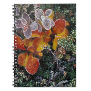 NA, USA, Alaska. Denali National Park. Bearberry 3 Spiral Notebook