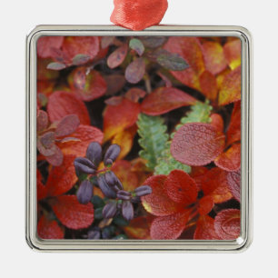 NA, USA, Alaska. Denali National Park. Bearberry Metal Tree Decoration