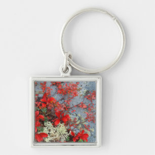 NA, USA, Alaska, Denali NP, Bear berry and Key Ring