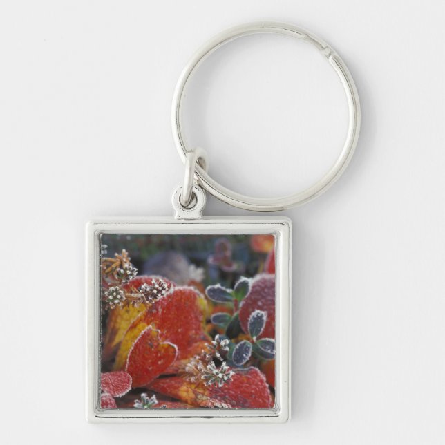 NA, USA, Alaska, Denali NP Frosted, fall-coloured Key Ring (Front)
