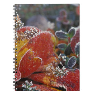 NA, USA, Alaska, Denali NP Frosted, fall-coloured Spiral Notebook
