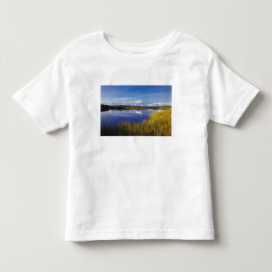 NA, USA, Alaska, Denali NP Mt. McKinley in Toddler T-Shirt