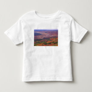 NA, USA, Alaska, Denali NP, View of McKinley Toddler T-Shirt