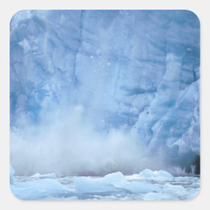 NA, USA, Alaska, Southeast Alaska, Tracy Arm, Square Sticker