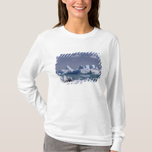 NA, USA, Alaska, St. Elias Range, Alsek River, T-Shirt