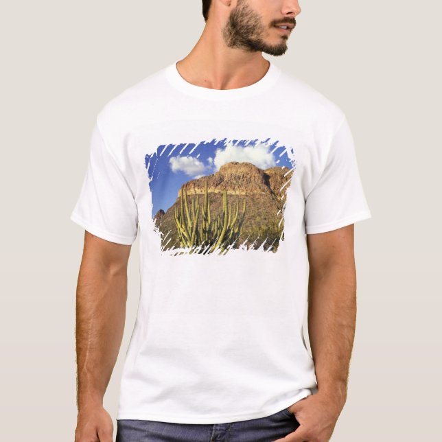 NA, USA, Arizona. Organ Pipe Cactus National 3 T-Shirt (Front)