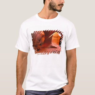 NA, USA, Arizona, Paria Canyon. Sandstone T-Shirt