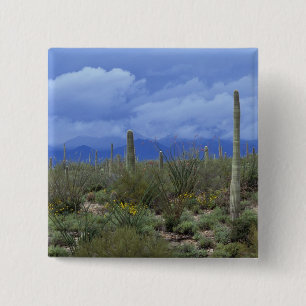 NA, USA, Arizona, Saguaro National Monument, 15 Cm Square Badge