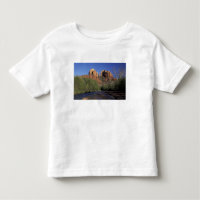 NA, USA, Arizona, Sedona. Cathedral Rock and Oak