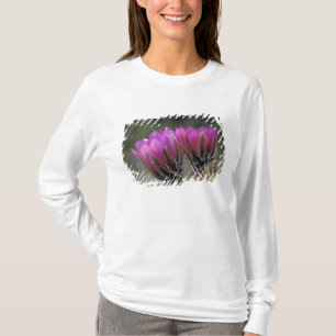 NA, USA, Arizona, Sonoran Desert. Hedgehog T-Shirt