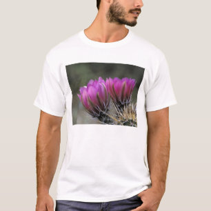 NA, USA, Arizona, Sonoran Desert. Hedgehog T-Shirt