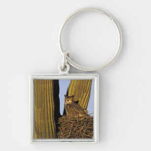 NA, USA, Arizona, Tucson. Great horned owl Key Ring