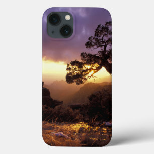 NA, USA, Arizona, Tucson, Sunset and lone iPhone 13 Case