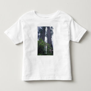 NA, USA, California. Del Norte Coast State Park. 2 Toddler T-Shirt
