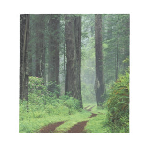 NA, USA, California. Del Norte Coast State Park. 3 Notepad