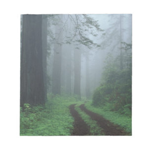 NA, USA, California. Del Norte Coast State Park. Notepad