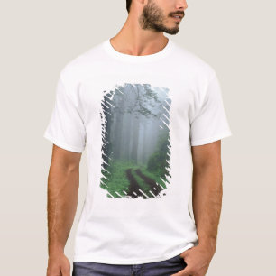 NA, USA, California. Del Norte Coast State Park. T-Shirt