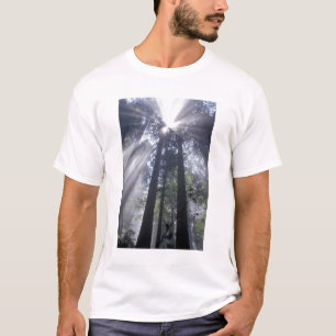 NA, USA, California. Del Norte Coast State T-Shirt