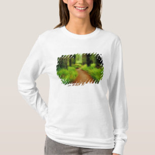 NA, USA, California, Jedediah Smith Redwoods T-Shirt
