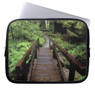 NA, USA, California, Jedidiah Smith Redwoods Laptop Sleeve