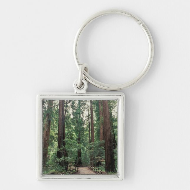 NA, USA, California, Marin County, Muir Woods Key Ring (Front)