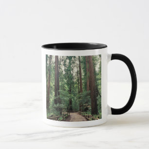 NA, USA, California, Marin County, Muir Woods Mug