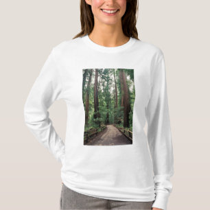 NA, USA, California, Marin County, Muir Woods T-Shirt