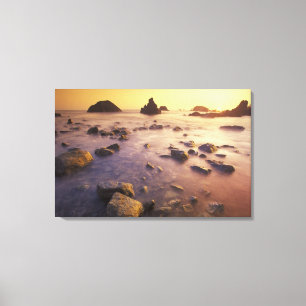 NA, USA, California, Northern California, Canvas Print
