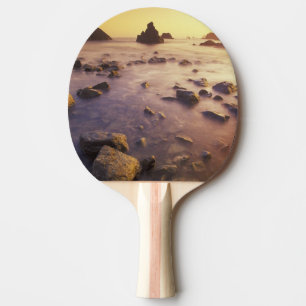 NA, USA, California, Northern California, Ping Pong Paddle
