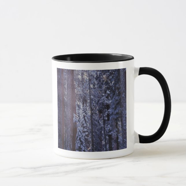 NA, USA, California. Sequoia National Park. 2 Mug (Right)