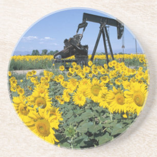 Na, USA, Colorado, Sunflowers, Oil Derrick Coaster