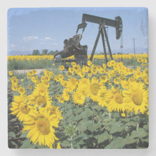 Na, USA, Colorado, Sunflowers, Oil Derrick Stone Coaster