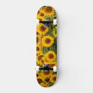 Na, USA, Colorado, Sunflowers Skateboard
