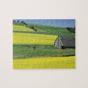 NA, USA, Idaho, near Potlatch, Canola and old Jigsaw Puzzle