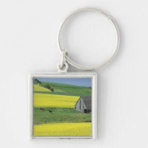 NA, USA, Idaho, near Potlatch, Canola and old Key Ring