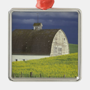 NA, USA, Idaho, south of Genesse, Canola field Metal Tree Decoration