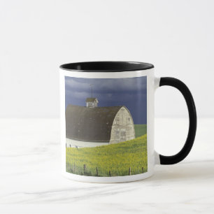 NA, USA, Idaho, south of Genesse, Canola field Mug