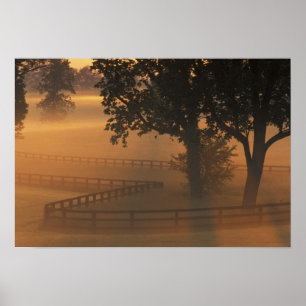 NA, USA, Kentucky. Foggy sunrise on Kentucky Poster