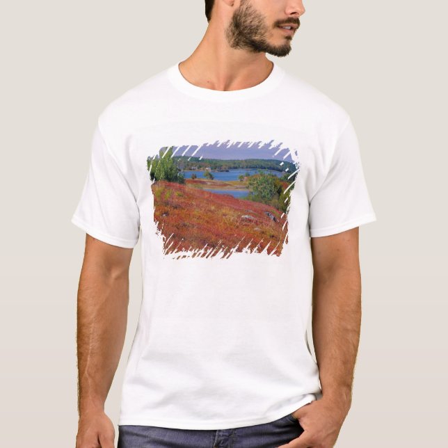 NA, USA, Maine. Blueberry Barrens. T-Shirt (Front)