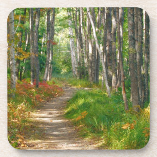 NA, USA, Maine. Jessup trail in Acadia National Coaster
