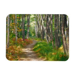 NA, USA, Maine. Jessup trail in Acadia National Magnet