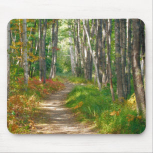 NA, USA, Maine. Jessup trail in Acadia National Mouse Pad