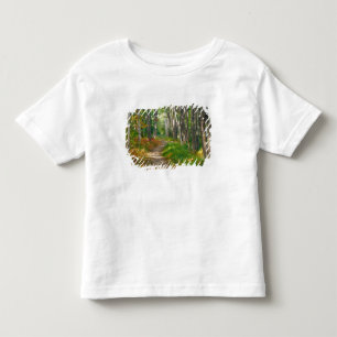 NA, USA, Maine. Jessup trail in Acadia National Toddler T-Shirt