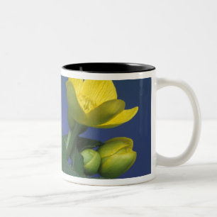 NA, USA, Michigan, Rochester Hills. Marsh Two-Tone Coffee Mug