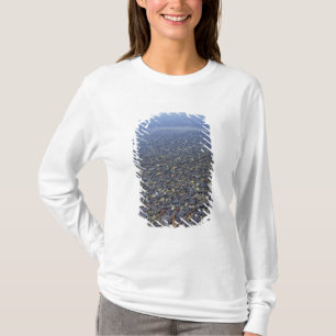 NA, USA, Montana, Glacier NP Rocks in Lake T-Shirt