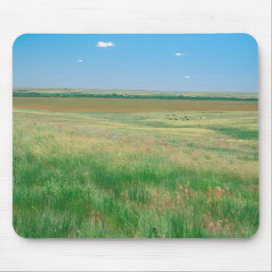 NA, USA, NE. Grasslands near Ogallala with Mouse Pad
