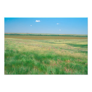 NA, USA, NE. Grasslands near Ogallala with Photo Print