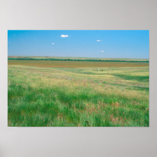 NA, USA, NE. Grasslands near Ogallala with Poster